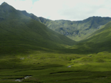 scoglenshiel