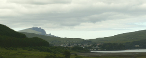 scoportree